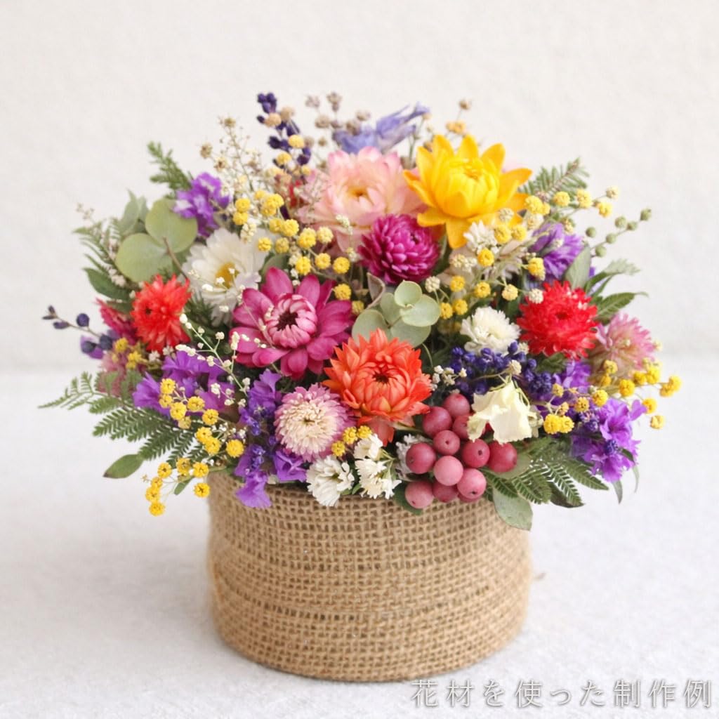 Amazon | ノーブランド品 ドライフラワー詰め合わせ 花材セット MIX